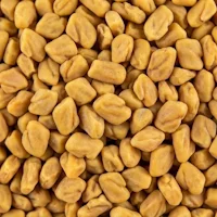 Ginseng wortelextract